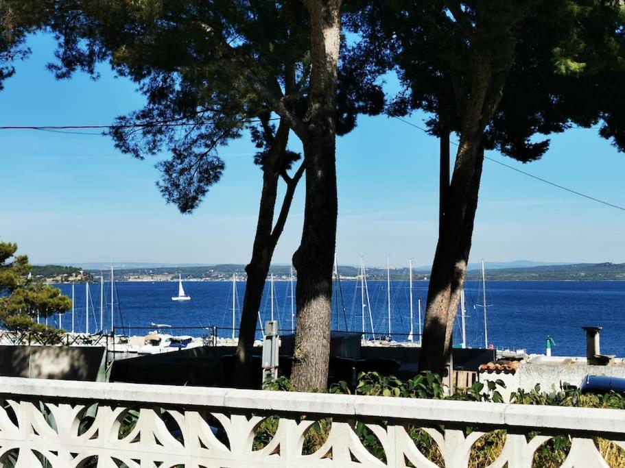 Maison T3 Avec Vue Au Bord De L'Etang 伊斯特尔 外观 照片