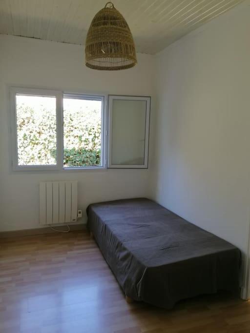 Maison T3 Avec Vue Au Bord De L'Etang 伊斯特尔 外观 照片