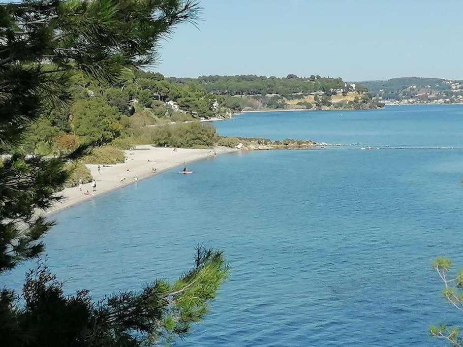 Maison T3 Avec Vue Au Bord De L'Etang 伊斯特尔 外观 照片